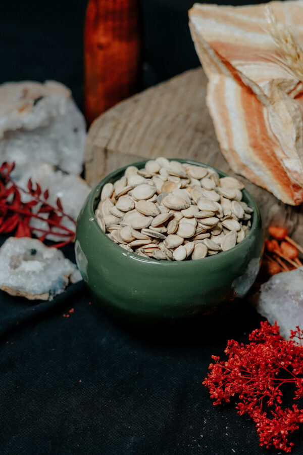 Wassermelonenkerne, geröstet und gesalzen